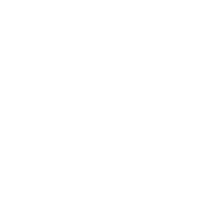 Quasar Quantum Healing Logo